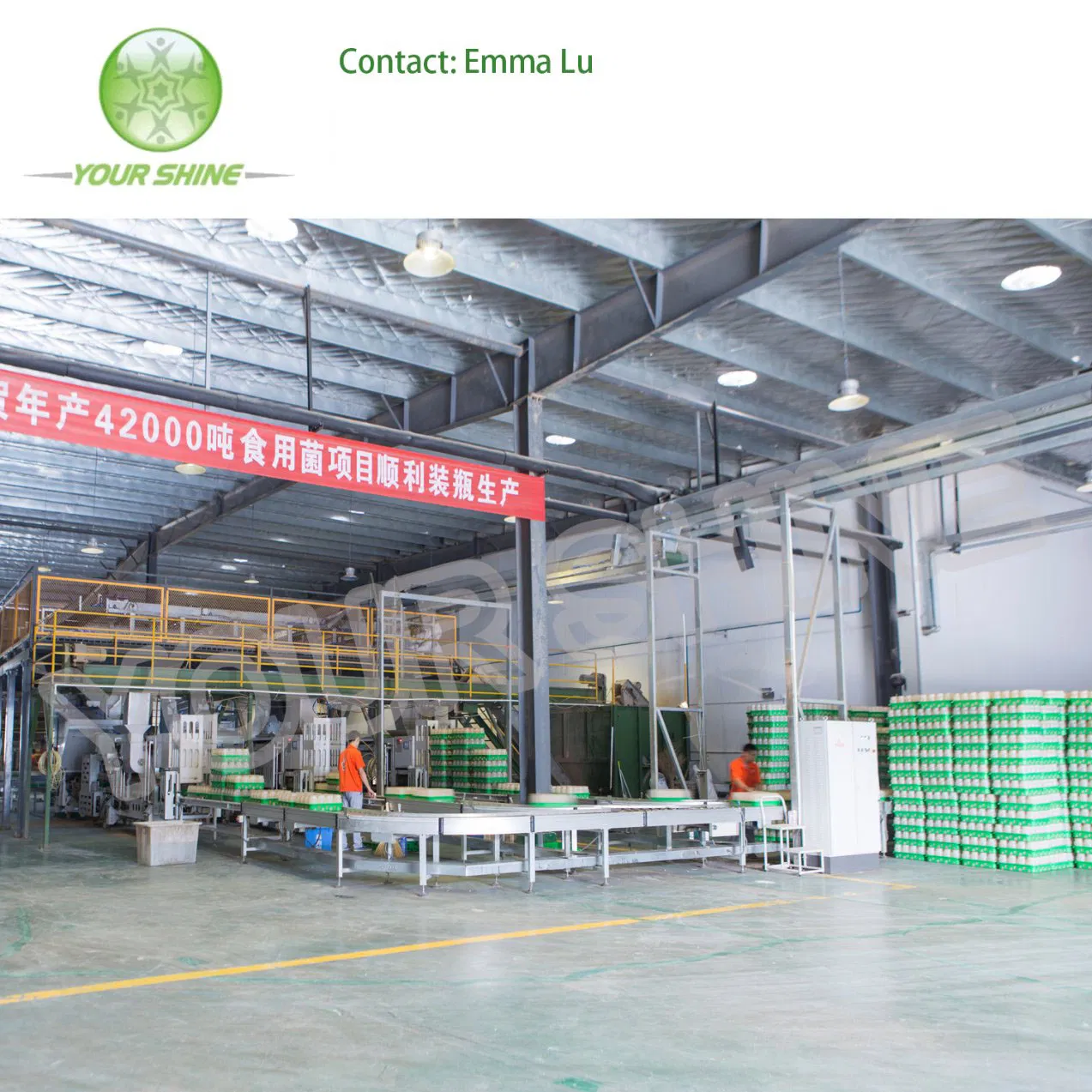 High Quality Chiller /Cold Storage/New Refrigeration Units