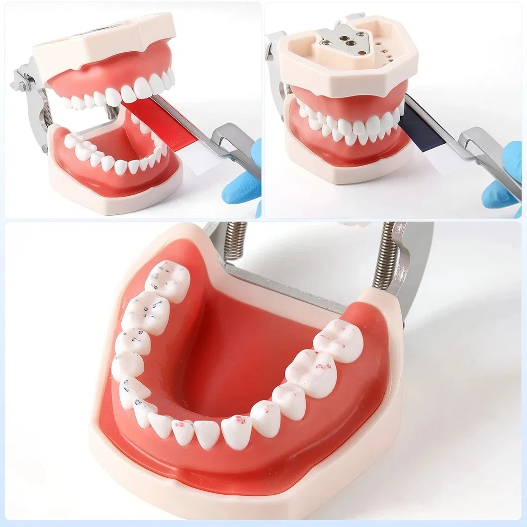 Dental Articulating Paper Features