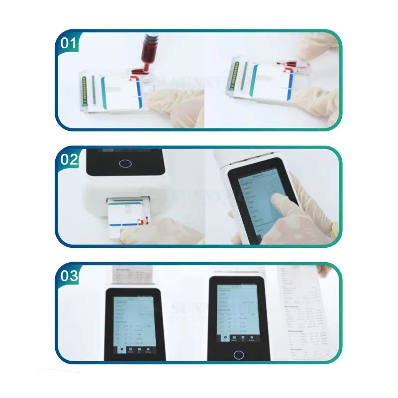 Electrolyte Analyzer View 6