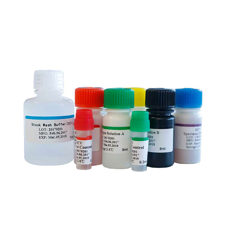 Biobase China W Clinical Diagnostic Elisa Kits HIV Rapid Test Kits and Reagents