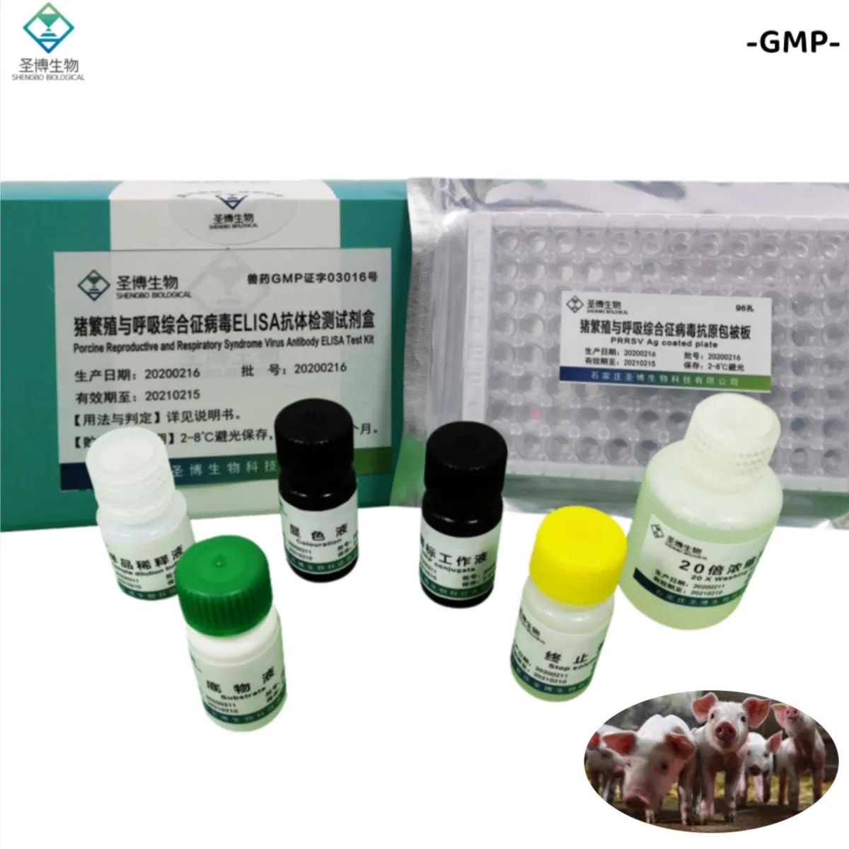 China GMP Factory Direct Porcine Reproductive and Respiratory Syndrome Virus Prrsv Antibody Elisa Test Kit Veterinary Diagnostic Reagent