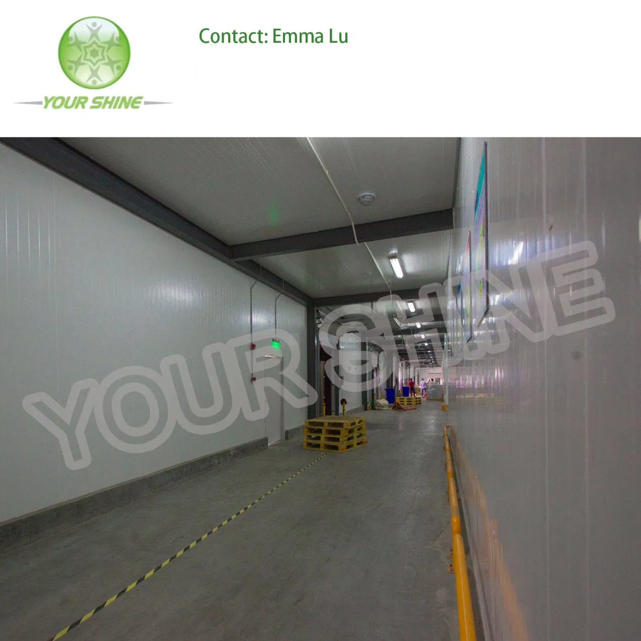 High Quality Chiller /Cold Storage/New Refrigeration Units