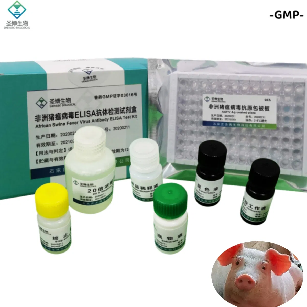 Factory Price GMP Manufacturer Veterinary African Swine Fever Virus Antibody Elisa Test Kit Veterinary Diagnostic Reagent