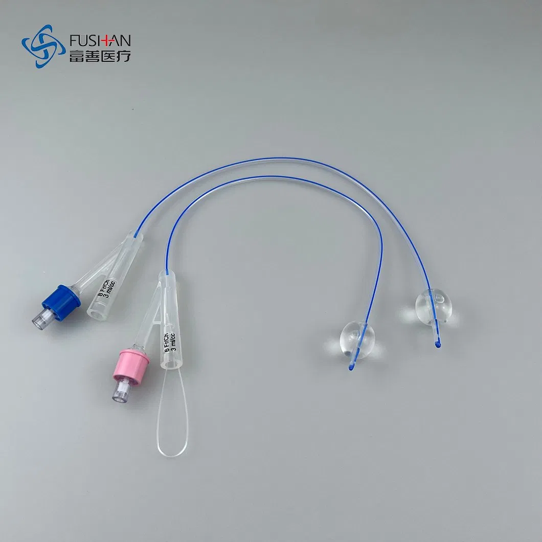 Fushan Disposable Medical 2 Way Silicone Foley Catheter Nelaton Tube Medical Consumables with Urine Bag 6fr-24fr CE ISO13485