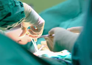 Hernia Mesh Detail 2