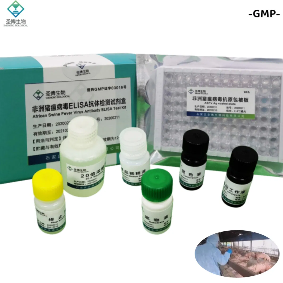 New Material Veterinary Grade African Swine Fever Virus Antibody Elisa Test Kit Veterinary Diagnostic Reagent