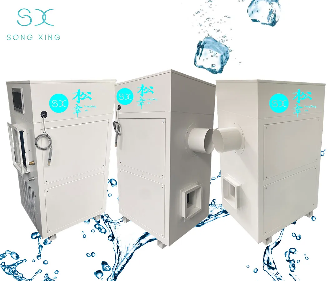 Constant temperature and humidity air conditioner