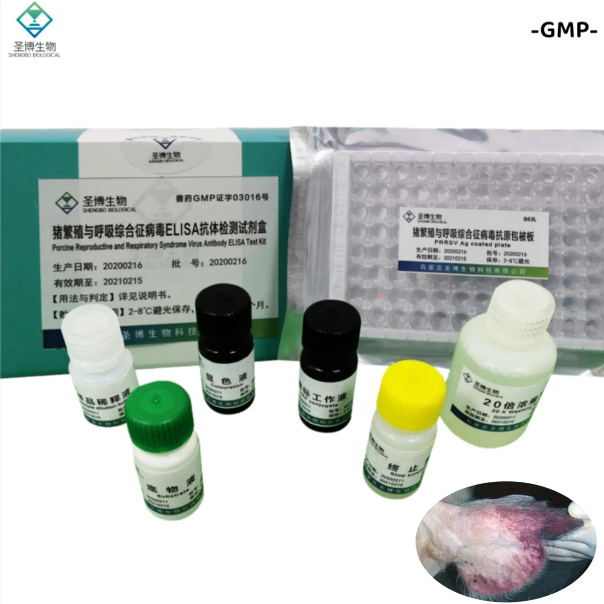 China GMP Factory Direct Porcine Reproductive and Respiratory Syndrome Virus Prrsv Antibody Elisa Test Kit Veterinary Diagnostic Reagent