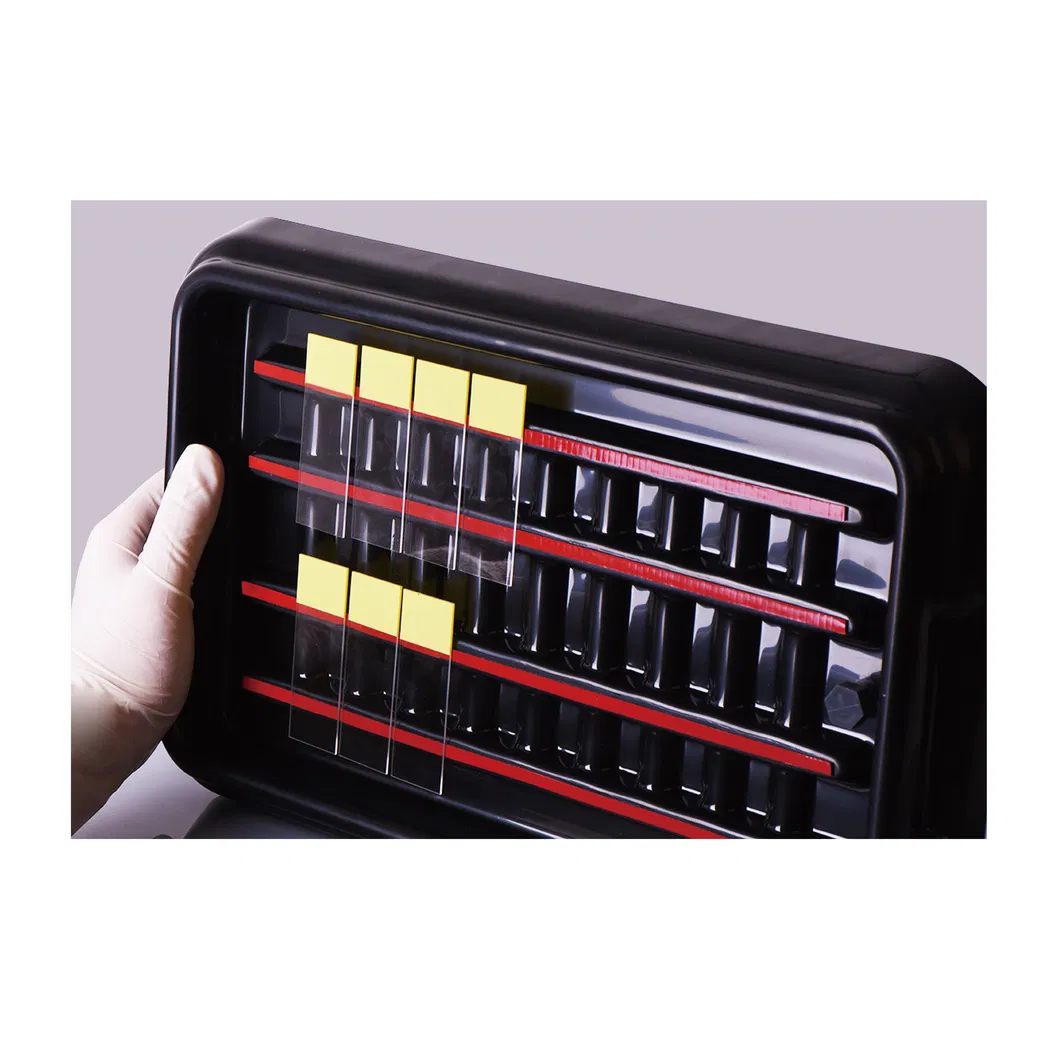 Slide Staining Plate Detail 2