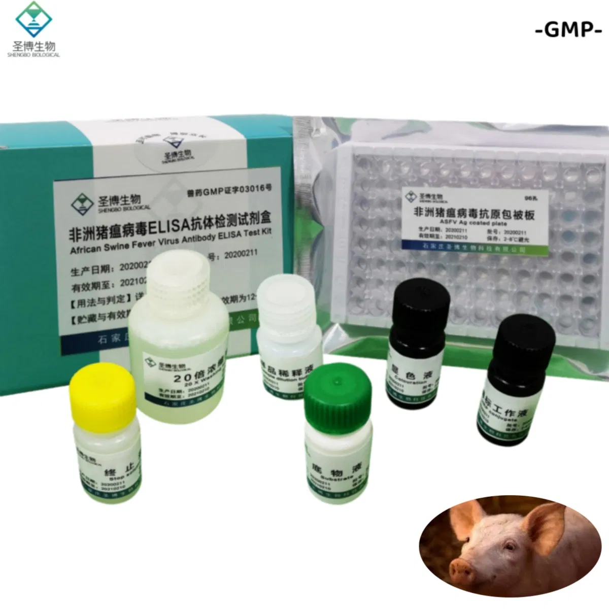 Factory Price GMP Manufacturer Veterinary African Swine Fever Virus Antibody Elisa Test Kit Veterinary Diagnostic Reagent