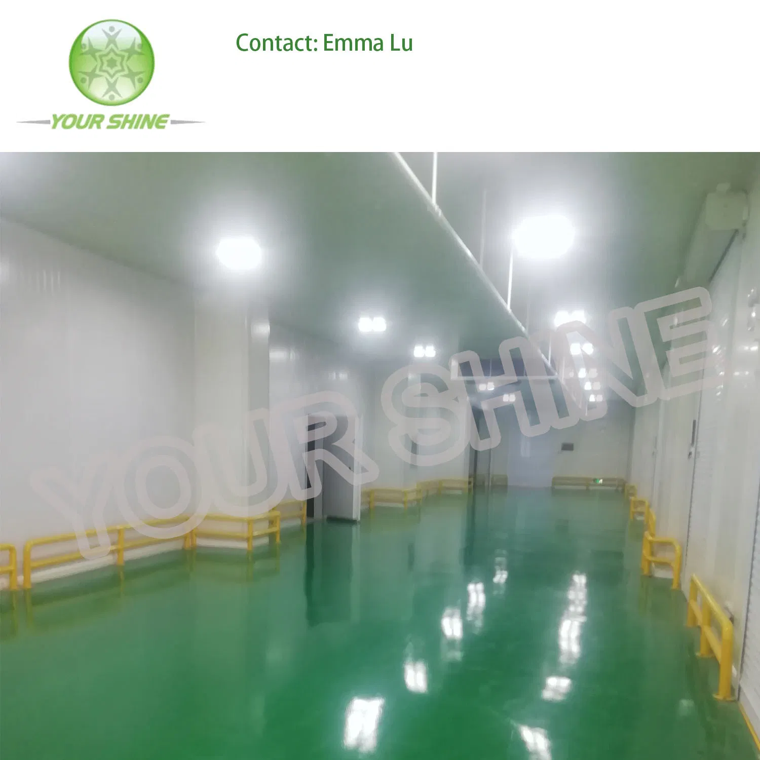 Low Temperature Water Cooled Condensing Unit for Cold Storage