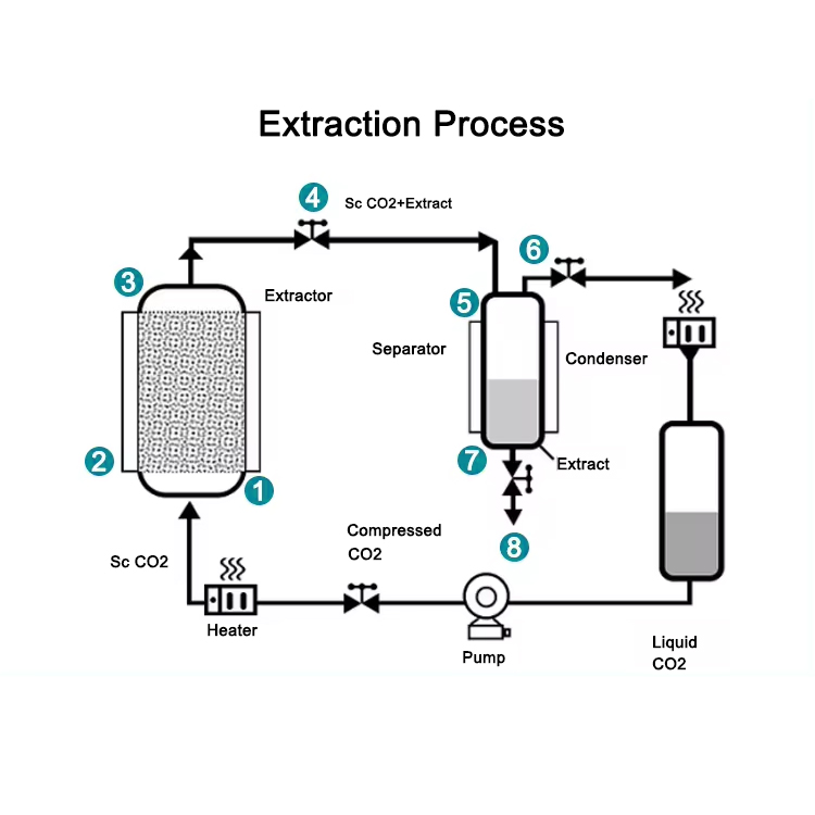 Lab Small Scale Essential Oil Supercritical CO2 Extraction for Coffee Extractor Equipment