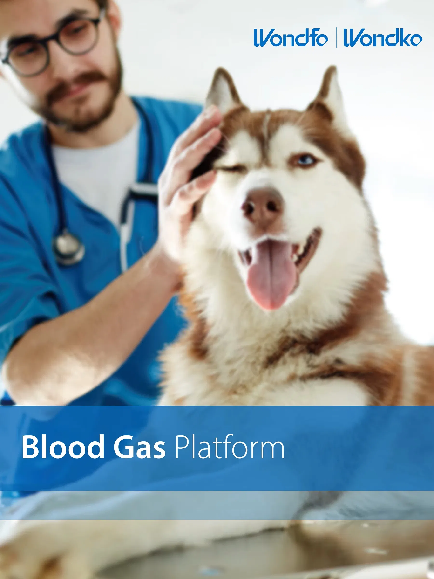 Veterinary Blood Gas Analyzer Display