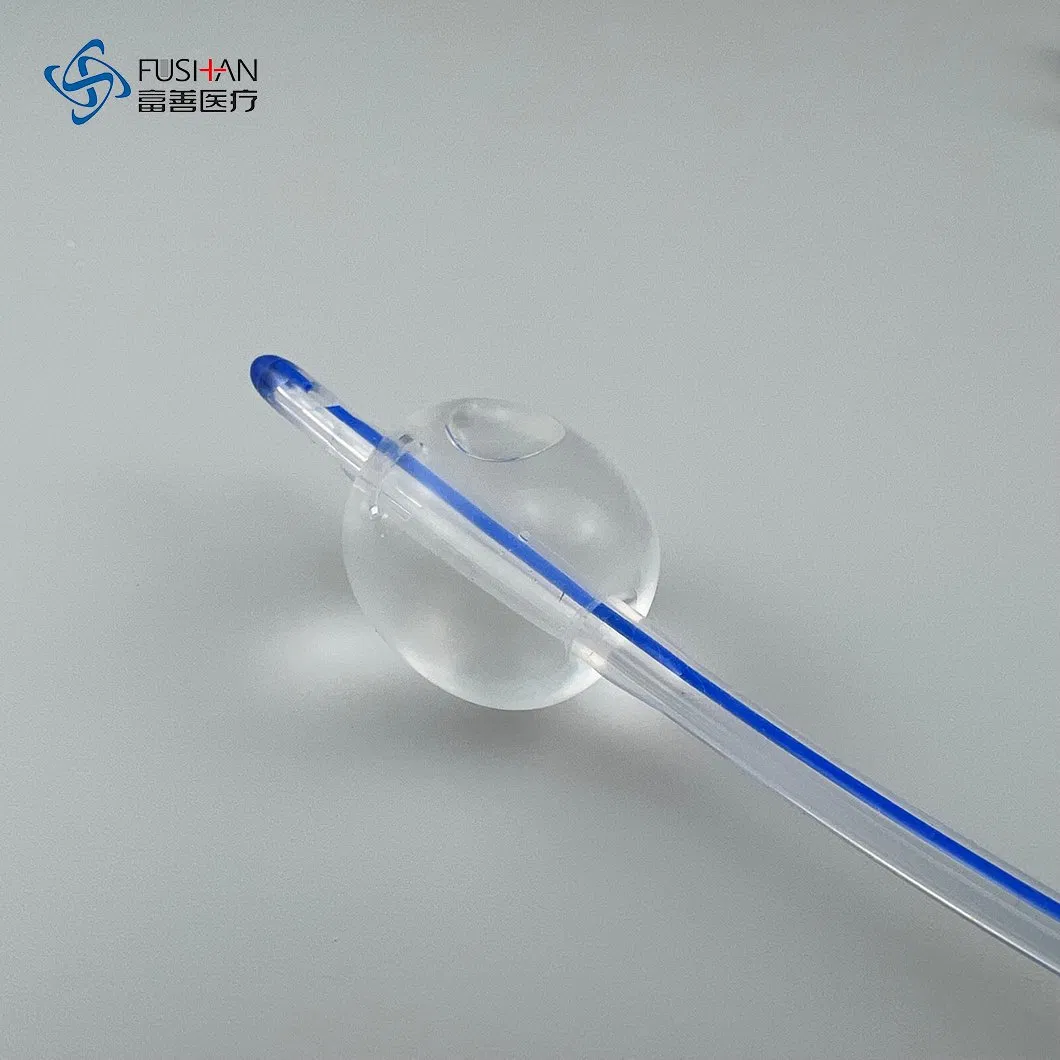 Fushan Disposable Medical 2 Way Silicone Foley Catheter Nelaton Tube Medical Consumables with Urine Bag 6fr-24fr CE ISO13485