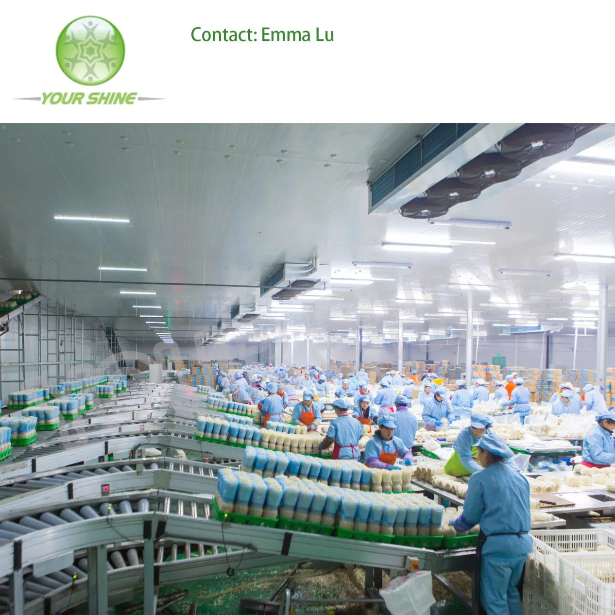 High Quality Chiller /Cold Storage/New Refrigeration Units