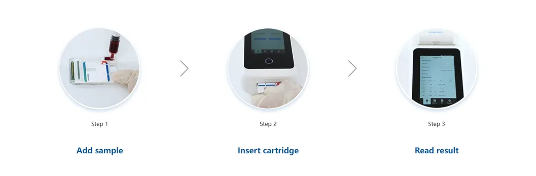 Electrolyte Analyzer Detail