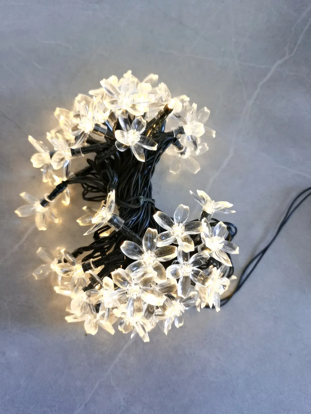 Solar String Lights 4