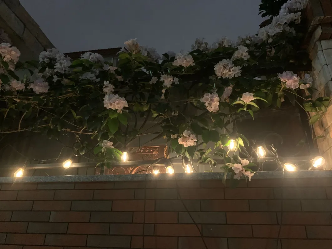 Luces solares de estilo colgante para interiores y exteriores con 50PCS bombillas LED multicolores para iluminación de jardín, terraza y Navidad