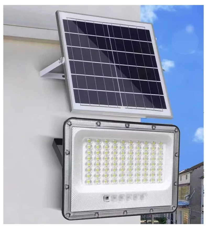Detalle de Luz de Seguridad Solar