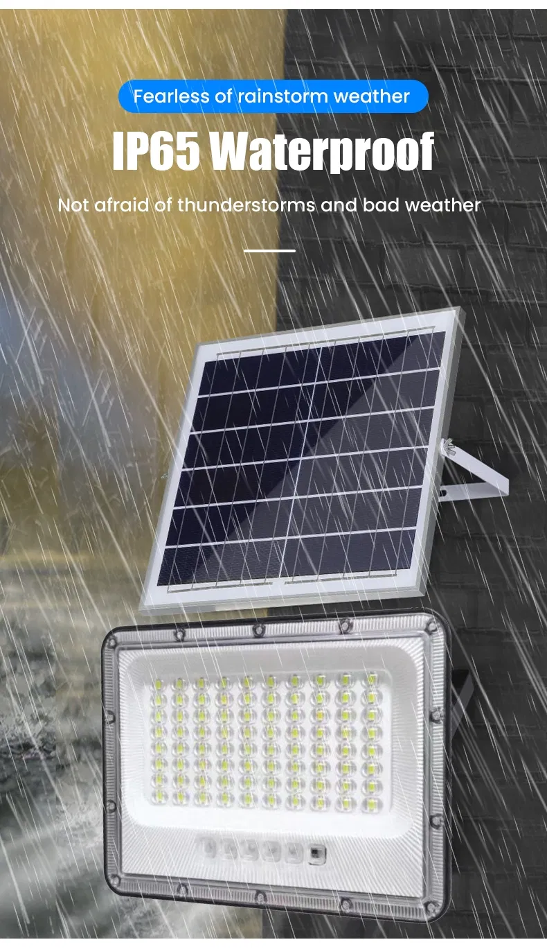 Detalle de Luz de Seguridad Solar