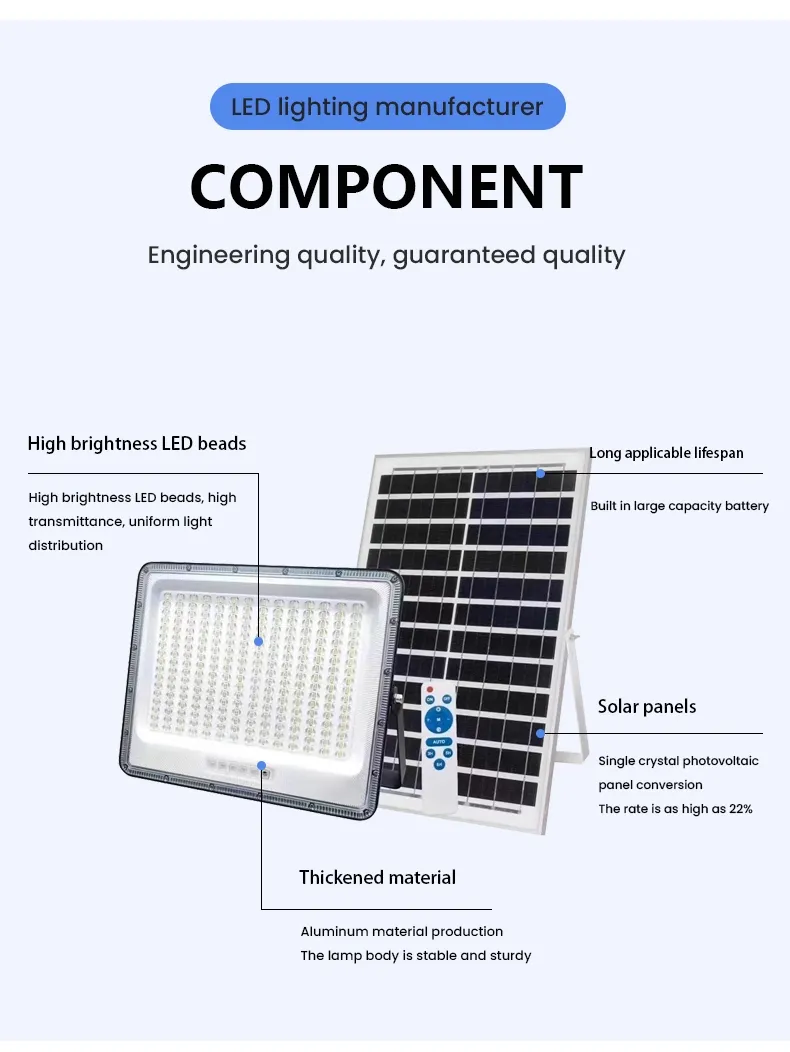 Detalle de Luz de Seguridad Solar