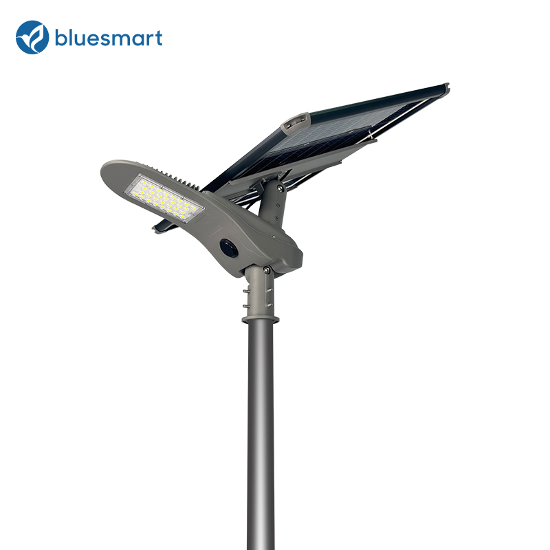 Luz de calle solar LED integrada al aire libre Bluesmart OEM/ODM con sensor de movimiento para caminos rurales de aldeas
