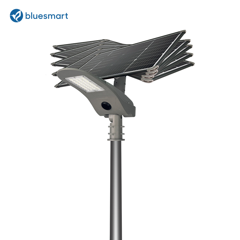 Luz de calle solar LED integrada al aire libre Bluesmart OEM/ODM con sensor de movimiento para caminos rurales de aldeas
