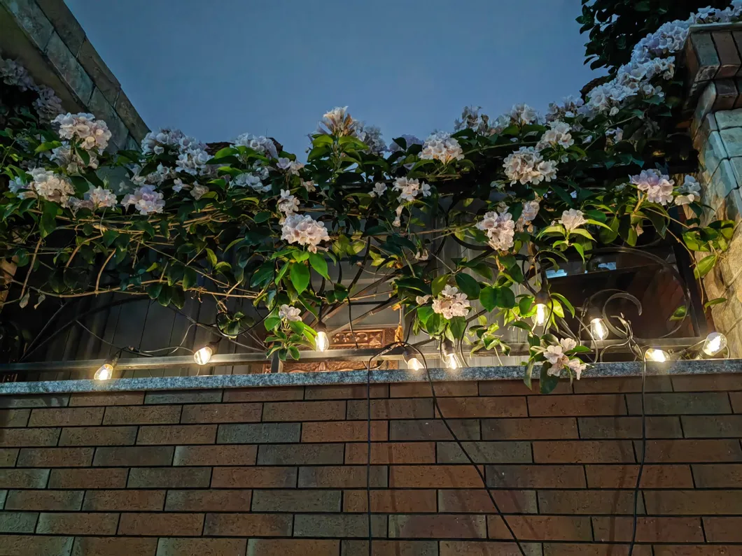 Luces solares de estilo colgante para interiores y exteriores con 50PCS bombillas LED multicolores para iluminación de jardín, terraza y Navidad