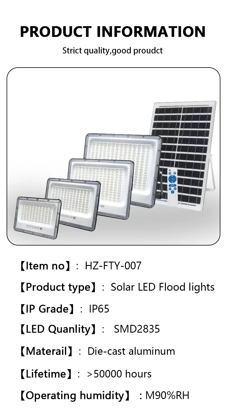 Detalle de Luz de Seguridad Solar