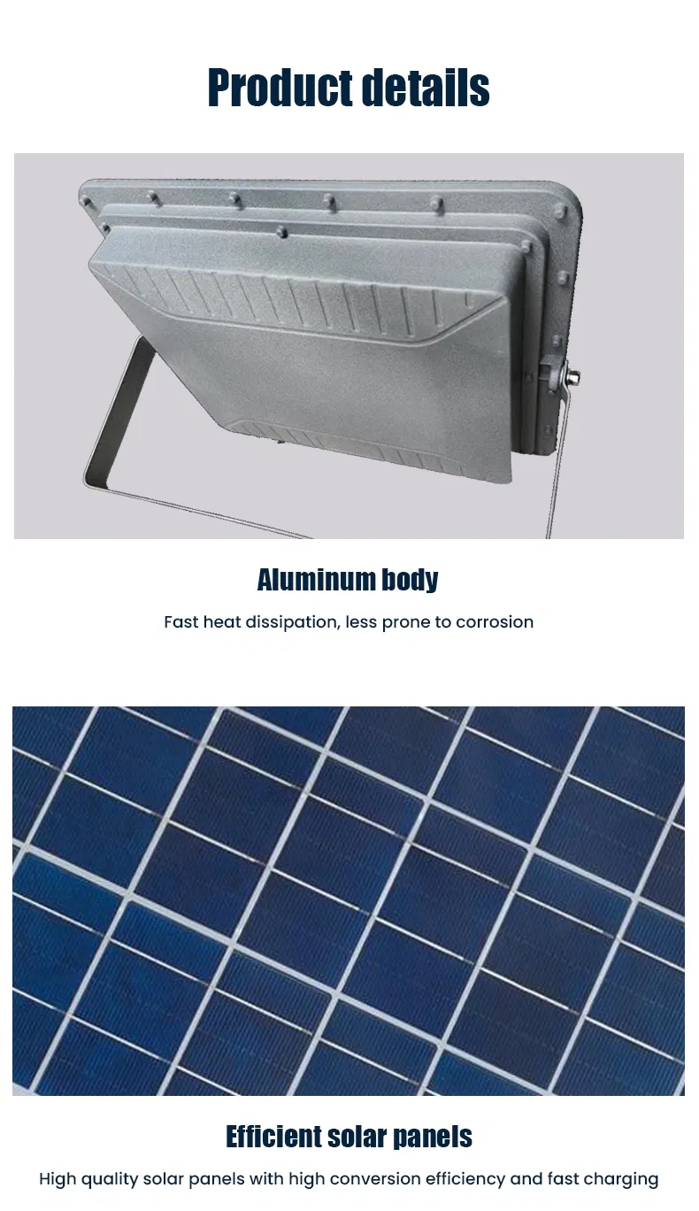 Detalle de Luz de Seguridad Solar