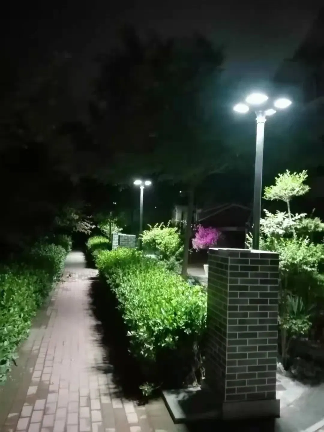 Linternas solares LED para piscina, jardín y porche con baterías recargables