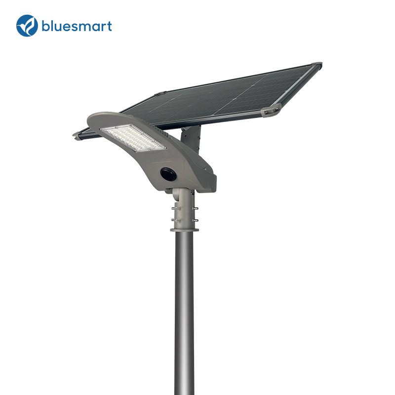 Luz de calle solar LED integrada al aire libre Bluesmart OEM/ODM con sensor de movimiento para caminos rurales de aldeas