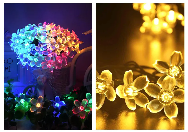 Solar String Lights 5