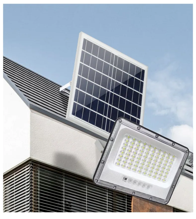 Detalle de Luz de Seguridad Solar