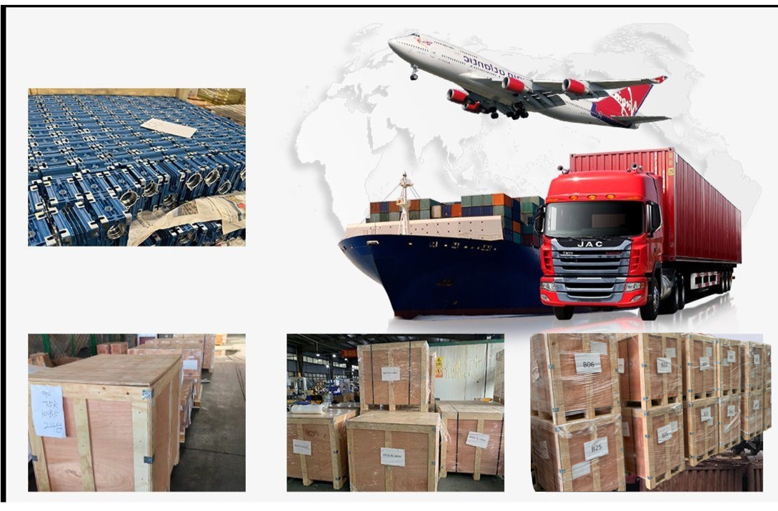 Packaging and Logistics