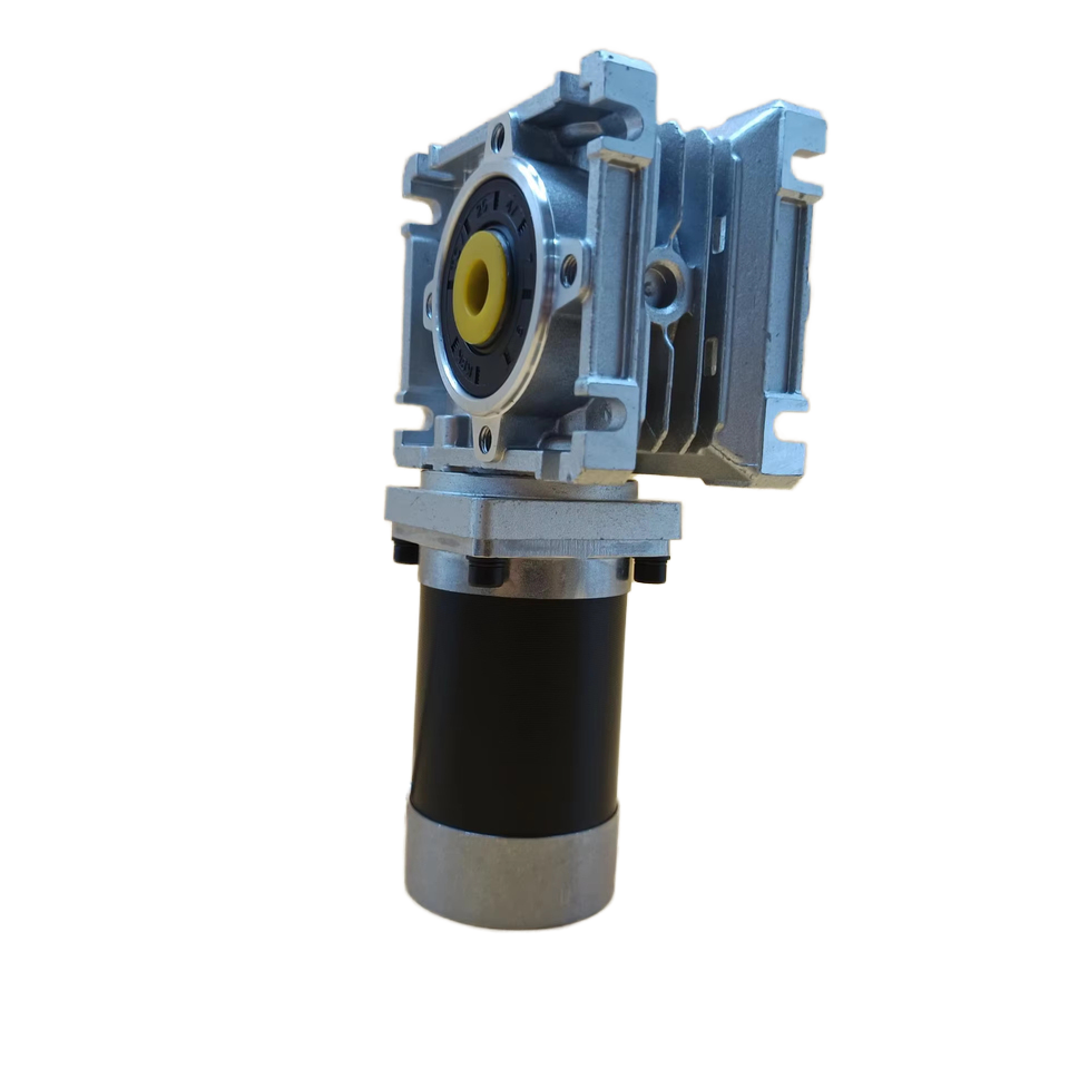 High Torque 24V 60W 120W 200W 250W Brushless DC Worm Gear Motor RV Self-locking for Lawn Mower