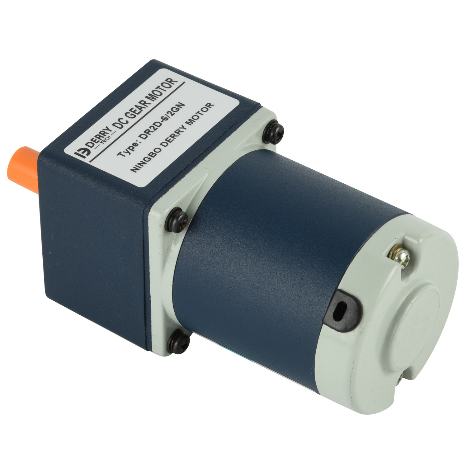 Customizable 12V/24V/48V/90V/220V DC2GN Small Dc Gear Motor with 6W/10W/15W/20W Capacity Permanent Magnet Brush