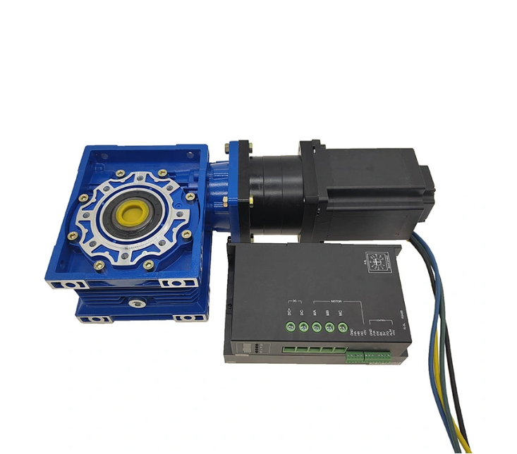 12V 24V 48V Rated Volt 3000rpm BLDC Worm Gear Motor for Home Appliance and Cosmetic Instrument Machine Motor Factory