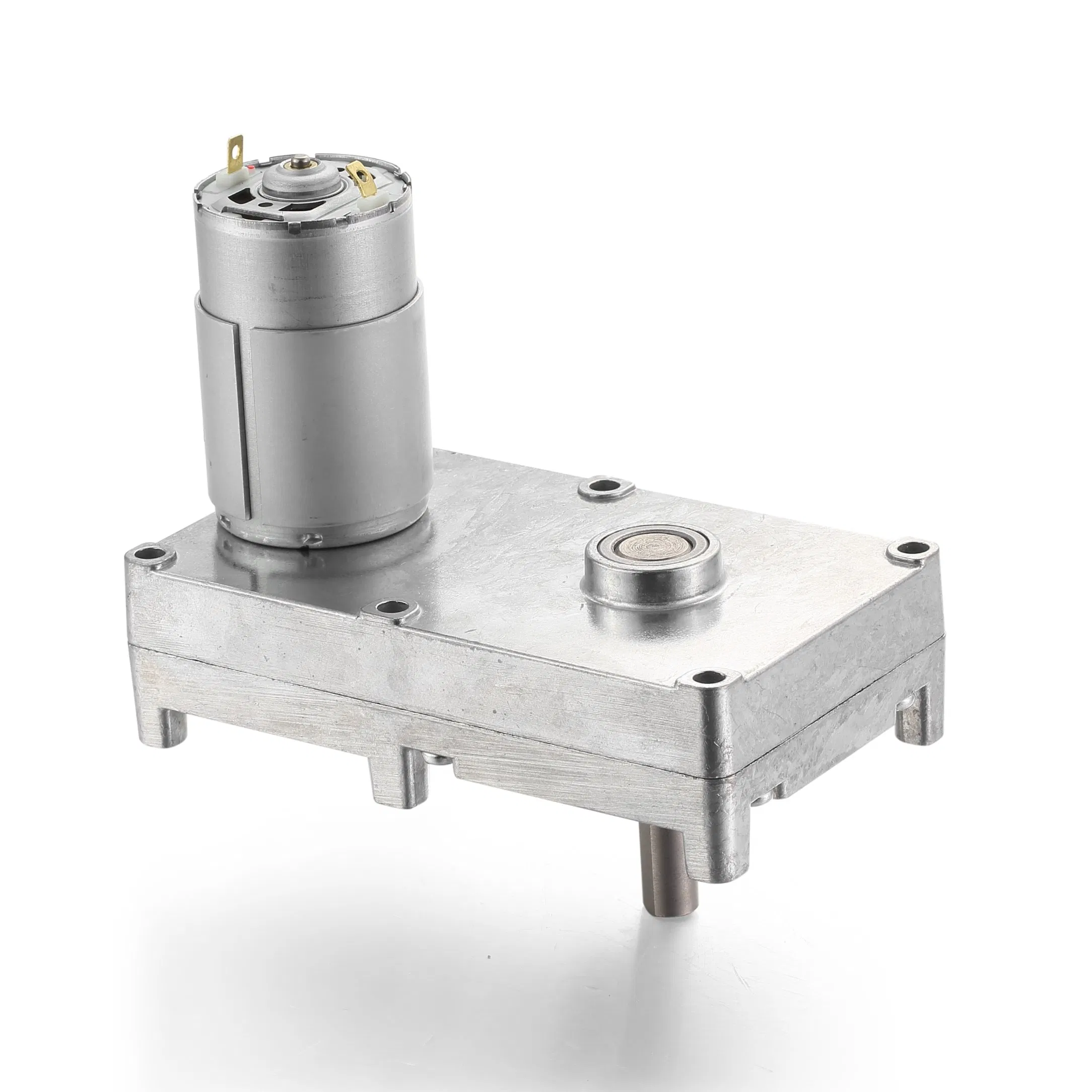 Customizable 775 Spur Gear Motor for Light Box Displays