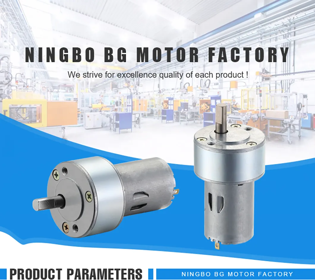 Brushed DC Motor Spur Gear