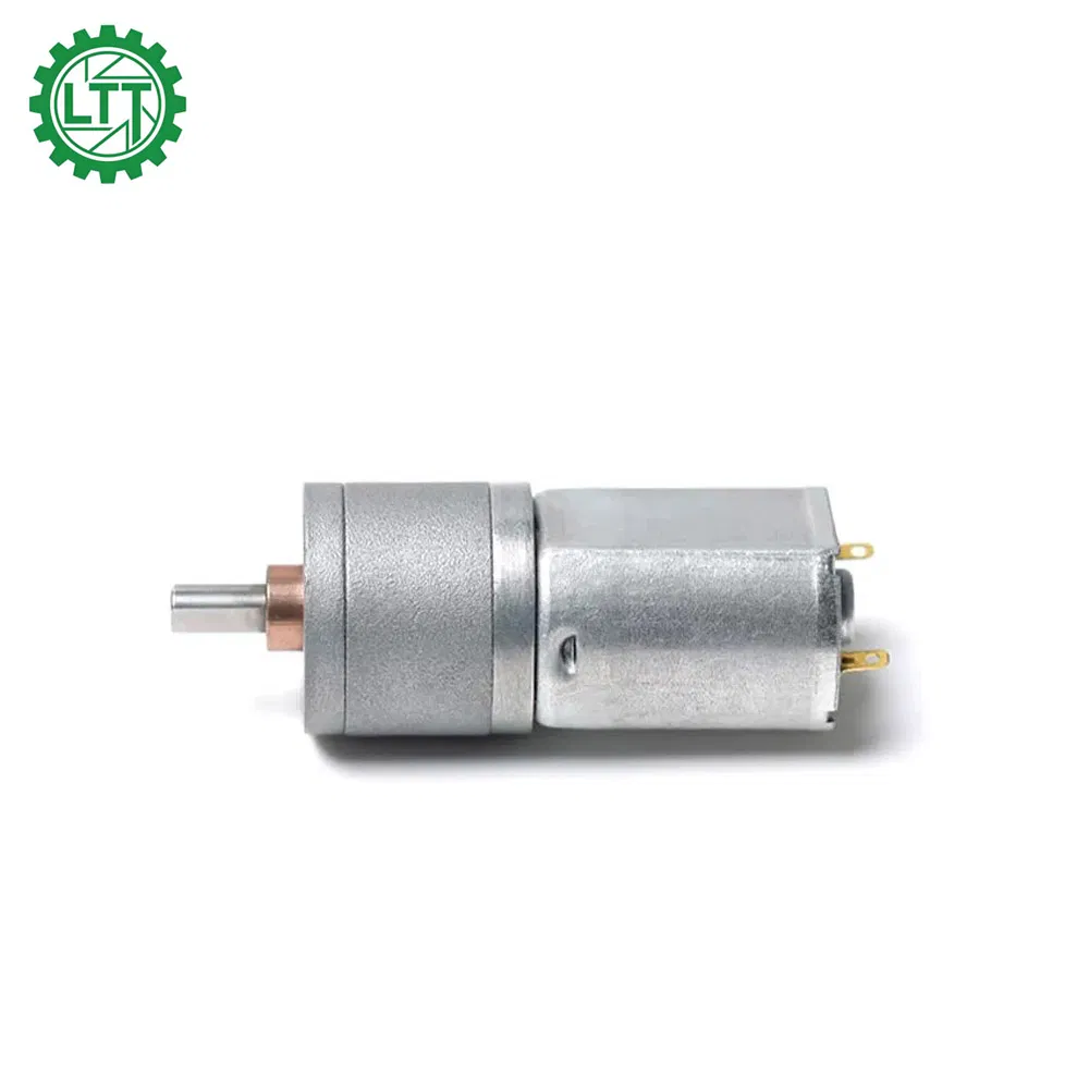 20mm Diameter 130 DC Motor High Torque 6V 12V 24V DC Gear Motor with Spur Metal Gearbox