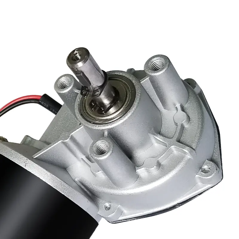 Derry 24V DC Worm Gear Motor High Quality Permanent Magnet Construction Brush Commutation Explosion-Proof for Golf Trolleys