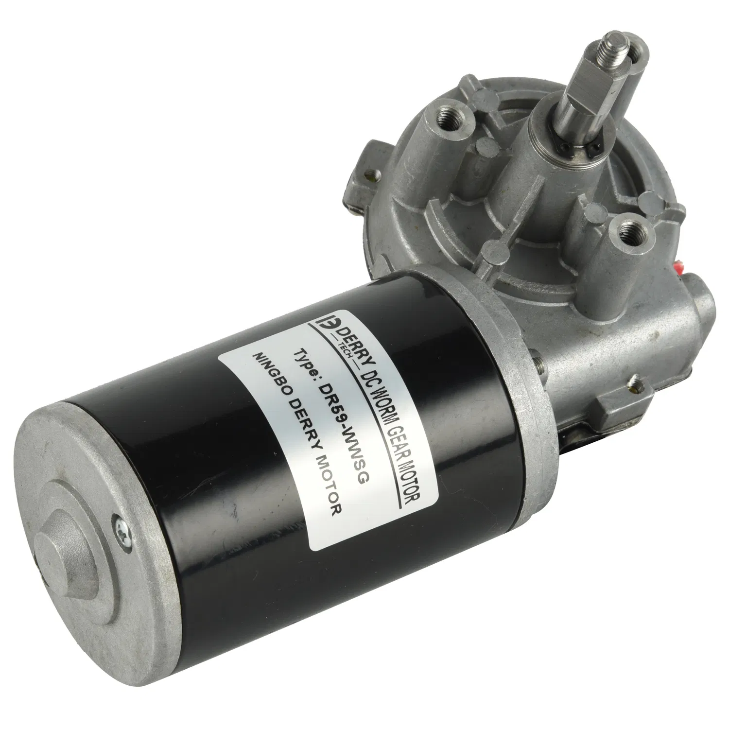 63mm 76mm High Torque Low Speed 80W DC AC Brushless BLDC Electrical Worm Gear Motor