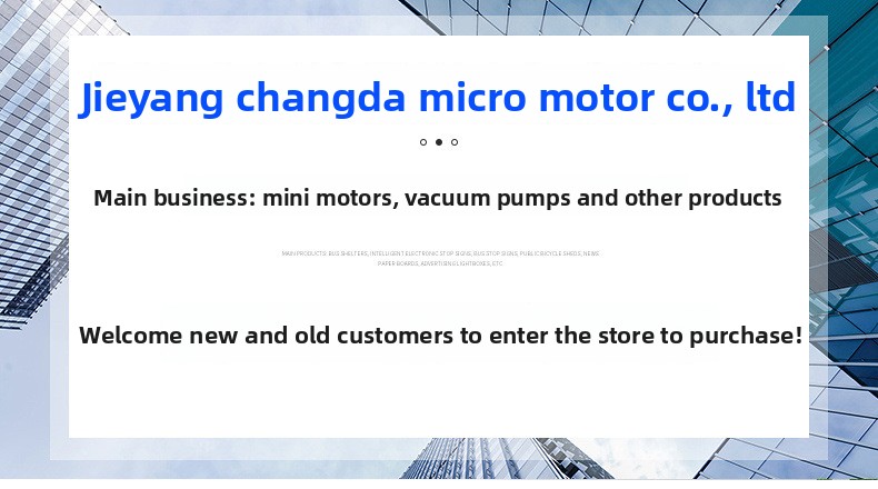 395 DC Motor