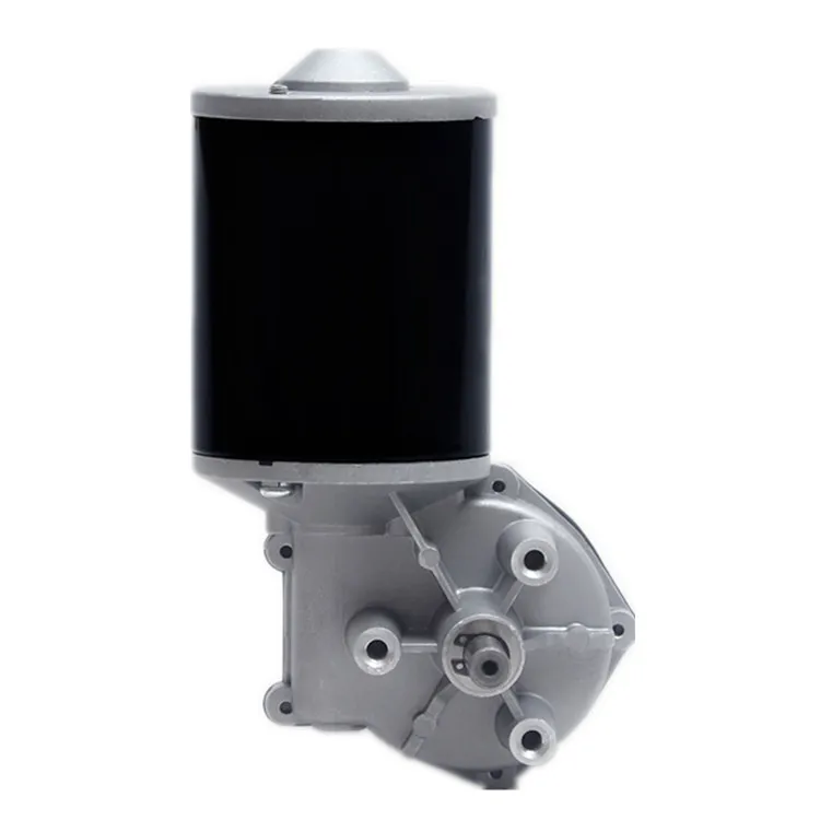12V/24V Beauty Bed DC Brushed Metal Spur Gear Motor with Encoder Metal Gear