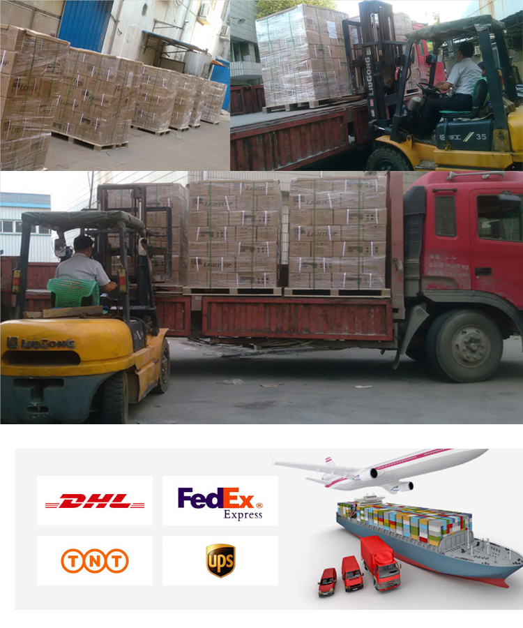 Shipping