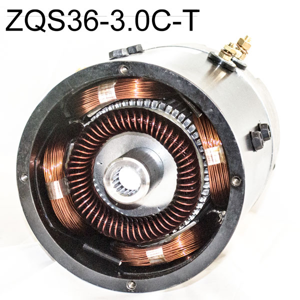 Zqs36-3.0c-T DC Motor Golf Buggy DC Sepex Engine