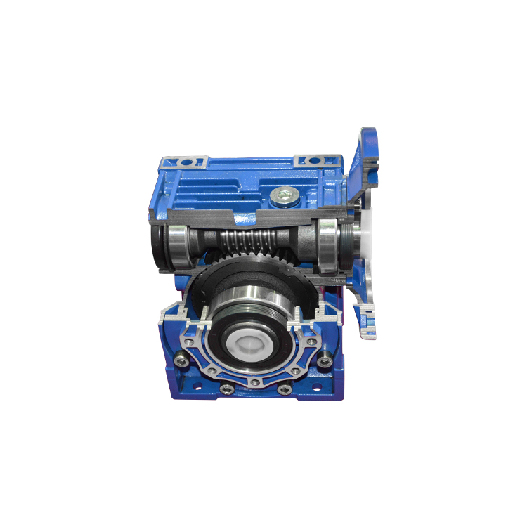 High Quality Double Worm Gear Speed Reducer With Electric Motor
