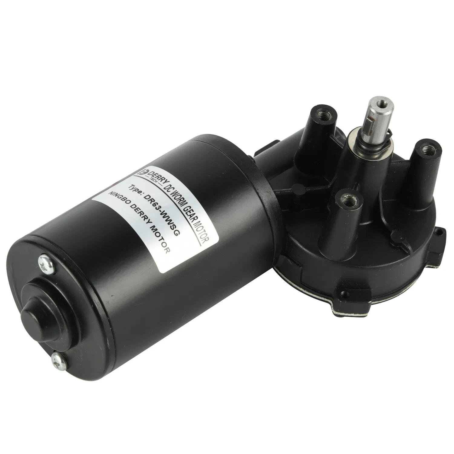 63mm 76mm High Torque Low Speed 80W DC AC Brushless BLDC Electrical Worm Gear Motor