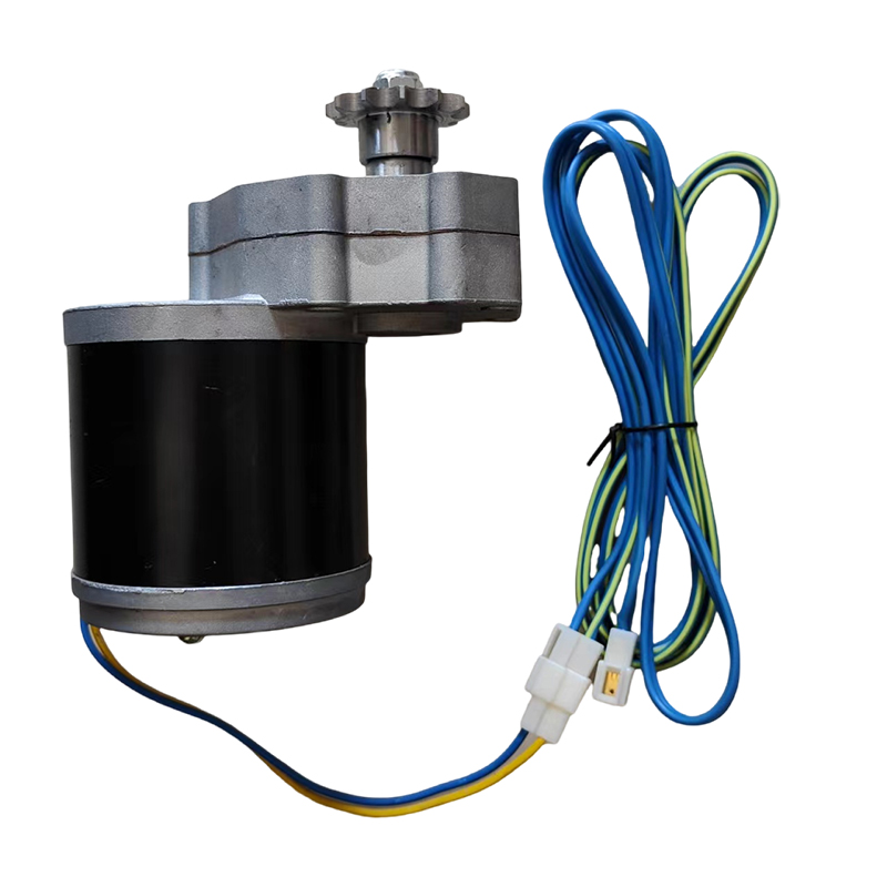 DC 12v 24V 600w Lawn Mower Rotary Tiller High Torque Electric Fertilizer Motor on Sale